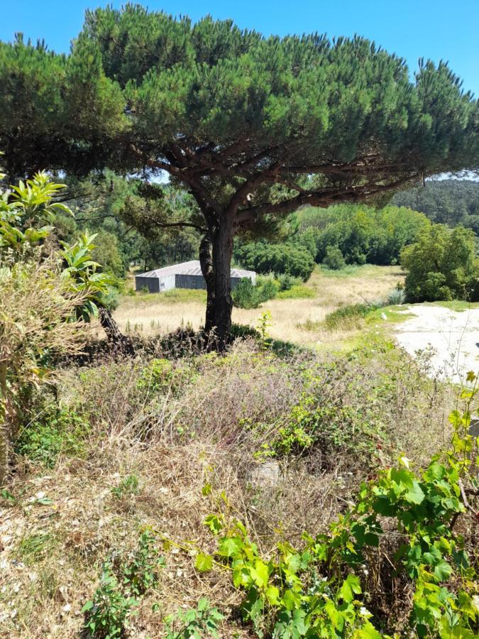 Eco-country-cottage Nadadouro