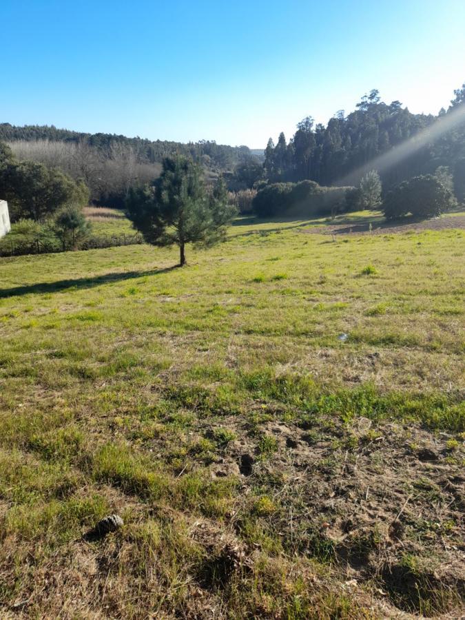Eco-country-cottage Holiday home Nadadouro